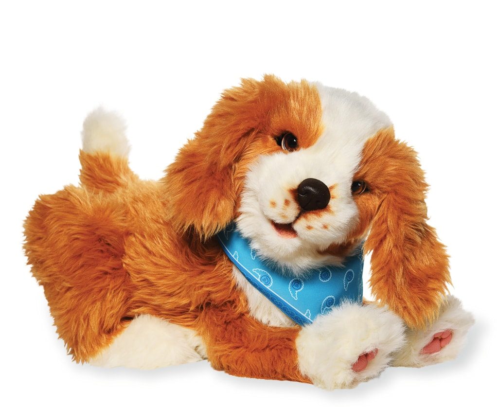 The benefits of pet therapy for Alzheimer's patients Eugeria