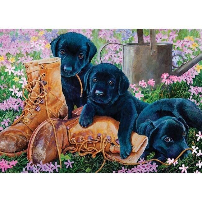 Black Lab Puppies Puzzle - Keeping Busy
